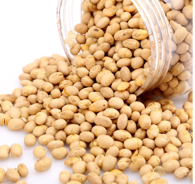Sỉ 5kg đậu nành sấy