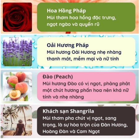 Tinh Dầu Thơm Thiên Nhiên Bản Sang Trọng Để Phòng Que Gỗ Lọ Khuếch Tán Thanh Lọc Khử Mùi Không Khí KT31