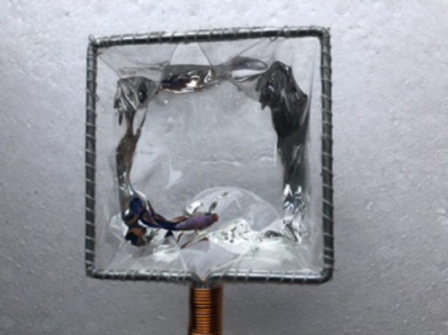 Vợt Nước Chống Shock và Show Cá - Hàng Công Ty