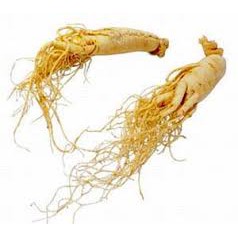 [FREESHIP 99K TOÀN QUỐC]NHÂN SÂM LOẠI 1 - 100Gr MÓN QUÀ CHO SỨC KHỎE | BigBuy360 - bigbuy360.vn