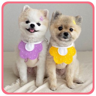 ❣️ Yếm đeo cổ dễ thương cho chó mèo