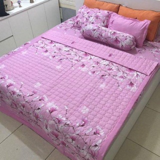 Set 5 món