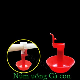 Núm Uống Cho Gà Con bộ 10 Núm