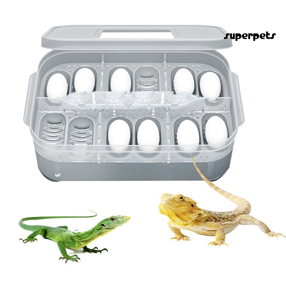 Hộp ấp trứng 6 ngăn 12 ô cho thú cưng bò sát