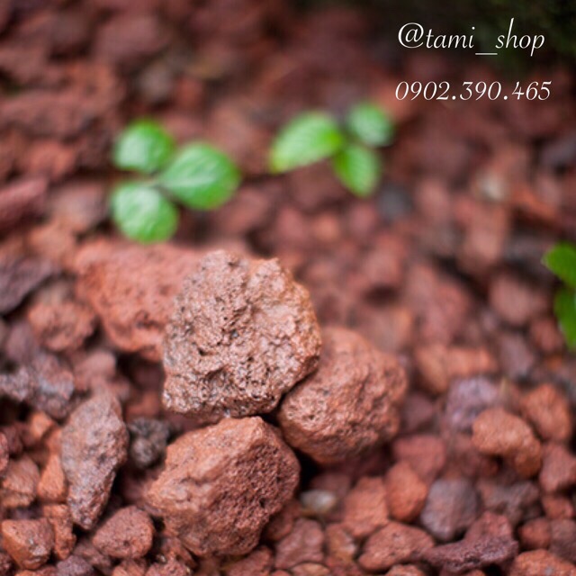 [ MẪU MỚI ] Mặt nạ đất sét INNISFREE SUPER VOLCANIC PEEL OFF MASK 2X