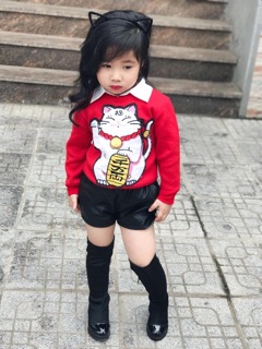 Combo sỉ áo mèo