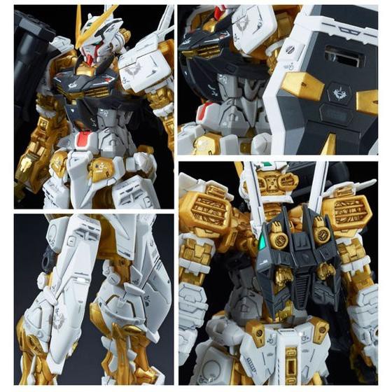 Mô Hình Lắp Ráp Gundam RG Astray Gold Frame