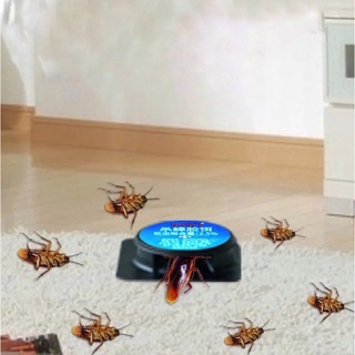 Viên chống gián và côn trùng