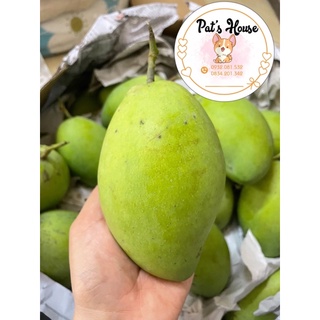 Xoài cát hoà lộc Cao Lãnh