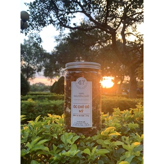 Ruột Óc Chó Đỏ Mỹ [500gram]