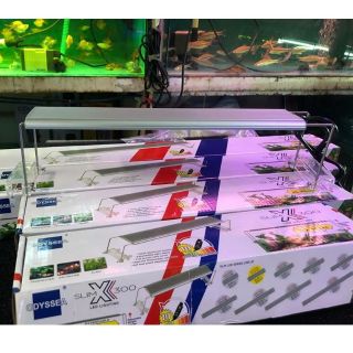 Đèn odyssea slim x300 thủy sinh