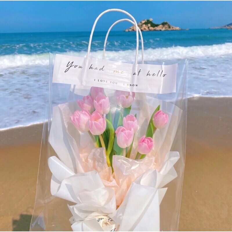 Hoa Tulip Loại Bông Lớn Nhiều Màu Siêu Xinh.