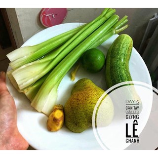 cây cần tây tươi vip to nhiều nước 1kg 1 cây