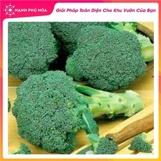 Hạt giống Bông Cải Xanh Taka- 0.2gr- Sen Vàng-Tỉ Lệ Nảy Mầm Cao, Thu Hoạch Quanh Năm, Ăn Ngon Ngọt, Tốt Cho Sức Khỏe