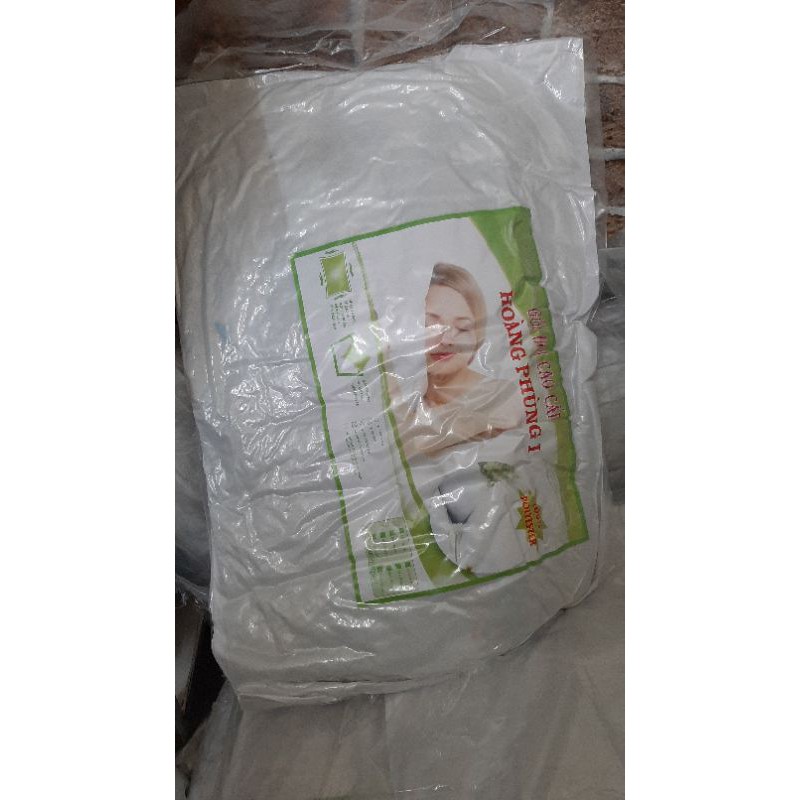 gối hơi cao cấp
