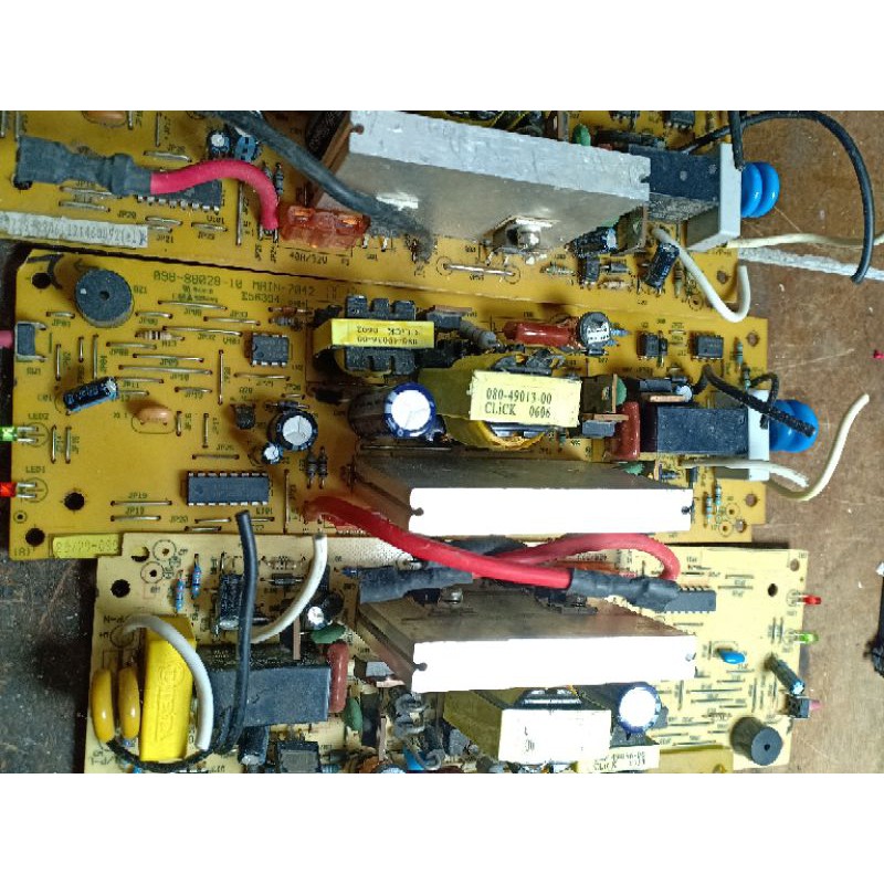 Boar mạch tg500 sống