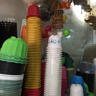 Sỉ chậu treo hoa gấm