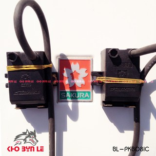 Bộ ic đánh lửa gas khí hóa lỏng/ Phụ kiện máy nước nóng Sakura (input AC 110V-220V)