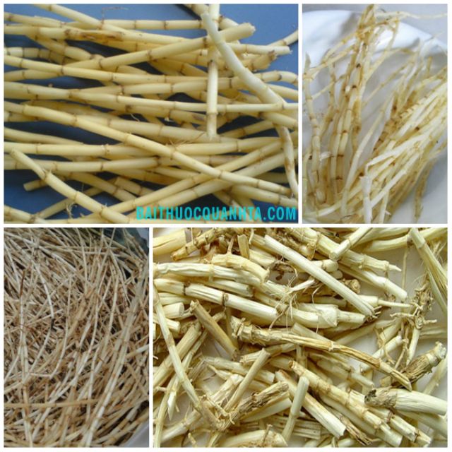 500g rễ cỏ ranh khô