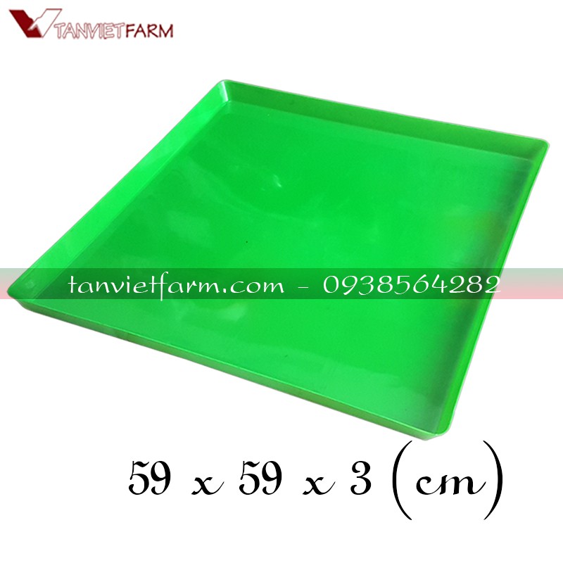 Khay hứng phân bồ câu 60 x 60 nhựa dẻo Set 20 cái