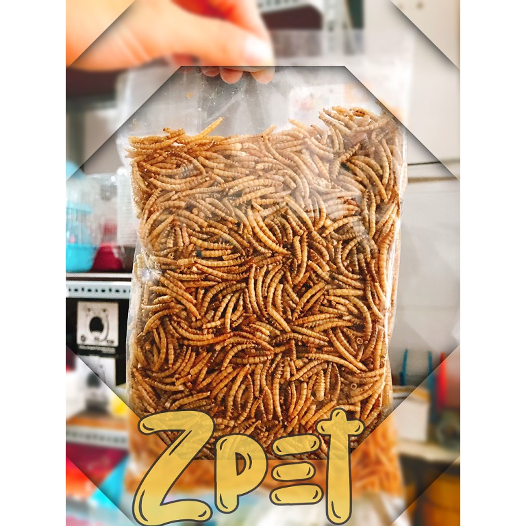 Sâu trung cho hamster 100g |Sâu sấy | Sâu khô