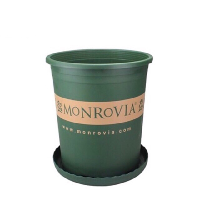 Combo Bộ Chậu MONROVIA hàng Nhập Khẩu TQ, Chậu gallon màu xanh + Kèm Đĩa Lót (3-size)