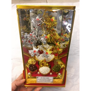 CÂY VÀNG CÂY BẠC PHONG THUỶ (CÂY TÀI LỘC)