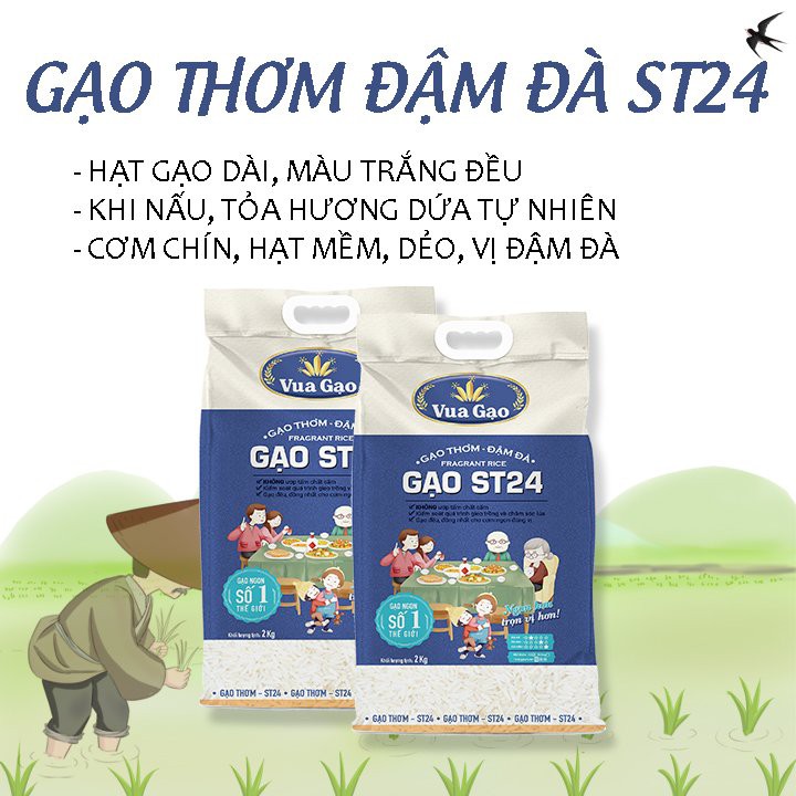 Combo 2 Túi Gạo ST24 2kg Thơm Ngon, Dẻo Nhiều, Vị Ngọt Hậu – Thương hiệu Vua Gạo