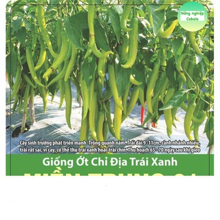 Hạt giống ớt chỉ địa xanh