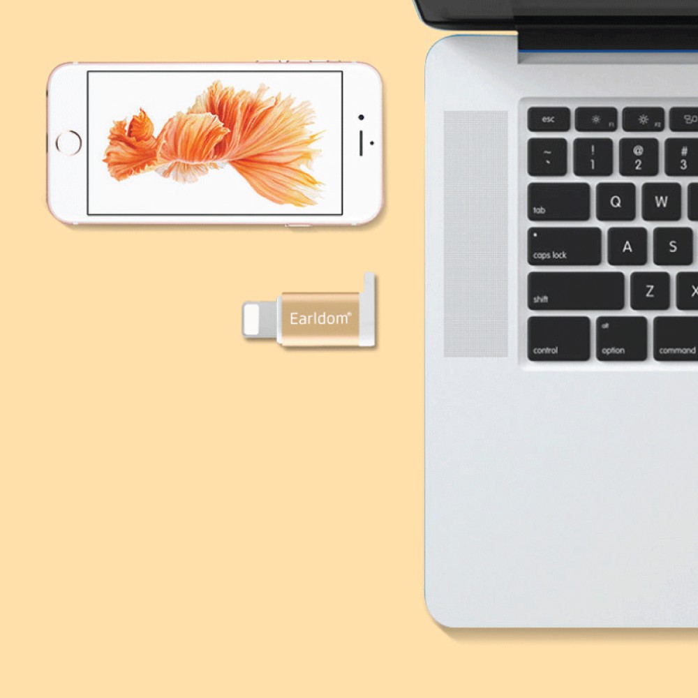 Đầu Chuyển Lightning sang Micro Earldom OT-08