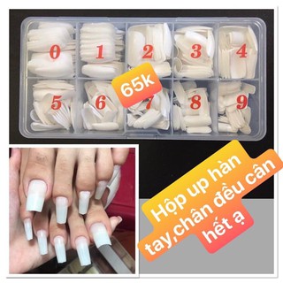 Móng up hàn quốc ( mix size ) 500 móng