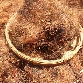 RÂU NGÔ ( RÂU BẮP) KHÔ TÚI 100GRAM