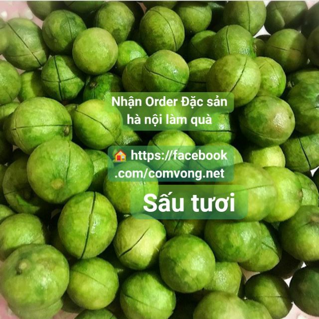 Sỉ SẤU TƯƠI LÀM SẠCH HÚT CHÂN KHÔNG