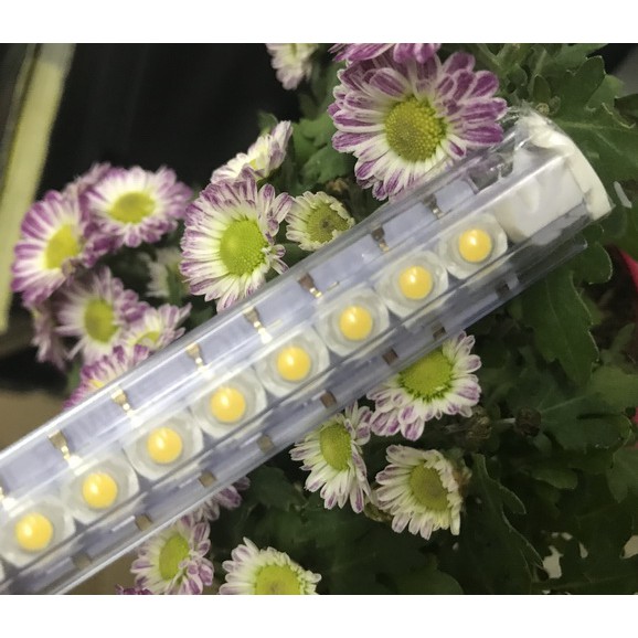 Combo 50 Led Luxeon 1W, không đế, SenY