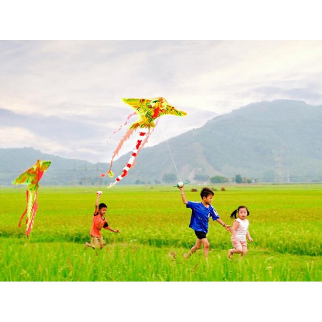 Diều thả hình rồng, phượng, cá mập,... chất liệu vải dù cao cấp
