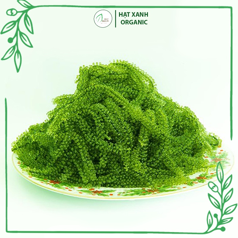 Rong Nho Tách Nước Khánh Hoà 25Gr - Công Nghệ Tách Nước Tiêu Chuẩn Nhật Bản