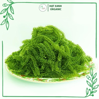 Rong Nho Tách Nước Khánh Hoà 25Gr - Công Nghệ Tách Nước Tiêu Chuẩn Nhật Bản