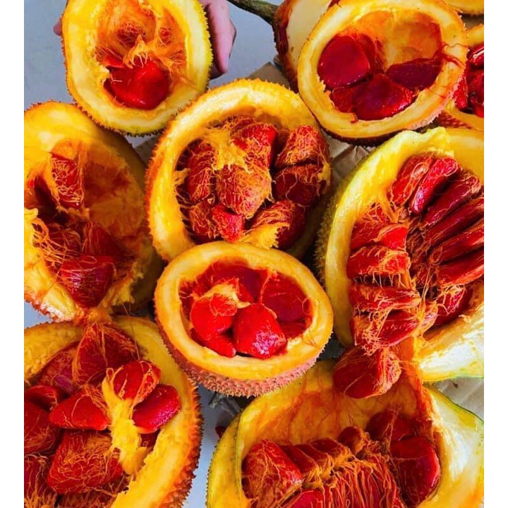 500G KẸO DỪA NON CUỘN ĐẬU PHỘNG BÁNH TRÁNG MIX VỊ ĐẶC SẢN BẾN TRE