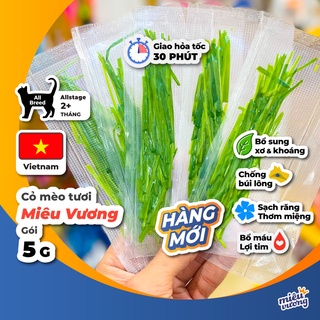 Cỏ tươi ăn liền Miêu Vương Cat Grass cho mèo