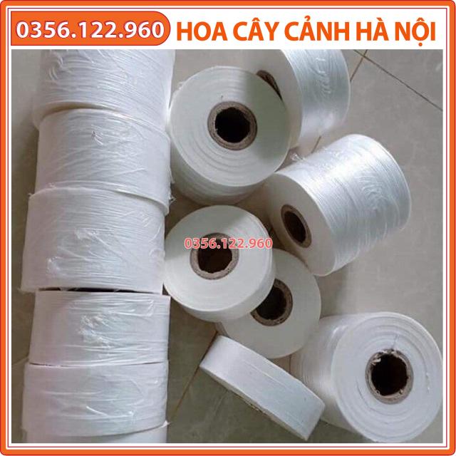 [Rẻ vô địch] 1 cuộn Giấy gép cây giống tự hủy (khổ 5cm dài 10.000m)