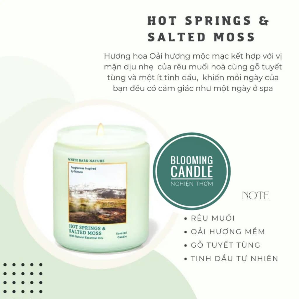 Mua Nến thơm Bath & Body Works HOT SPRINGS & SALTED MOSS 1 bấc 198g giá
