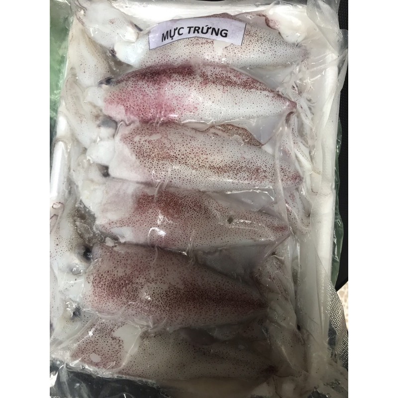 1kg Mực full trứng