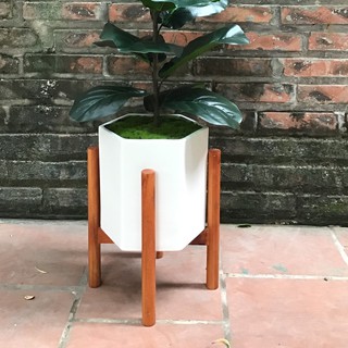 Combo 3 Kệ  gỗ để chậu cây trang trí