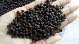 Tiêu hạt daklak 1kg