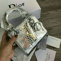 túi bạc da rắn