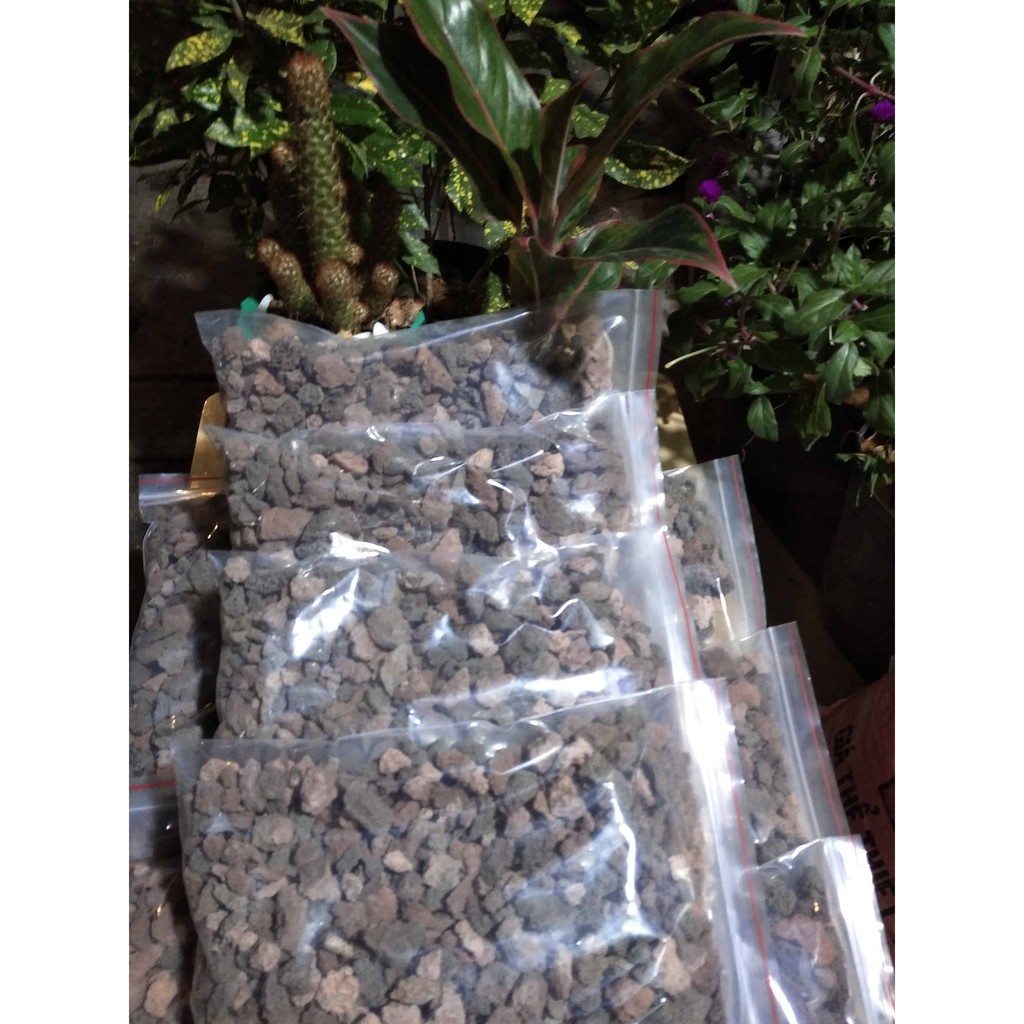 Đá núi lửa nham thạch giá thể trồng lan, sen dá xương rồng 1kg