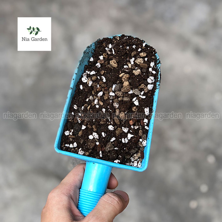 Đất trồng sen đá xương rồng trộn sẵn giá thể cho kiểng lá cây để bàn Nia Garden N6