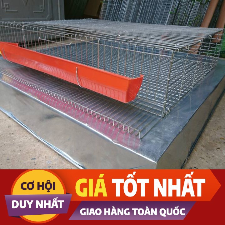 LỒNG NUÔI CHIM CÚT-CHUỒNG NUÔI CHIM CÚT CÔNG NGHIỆP-LỒNG NUÔI CÚT ĐẺ CÔNG NGHIỆP