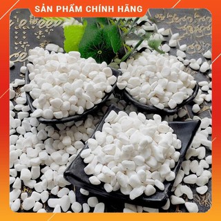 Sỏi Trắng Viên 2-3cm Trang Trí Chậu Cây-Bể Cá (New Mosa shop)