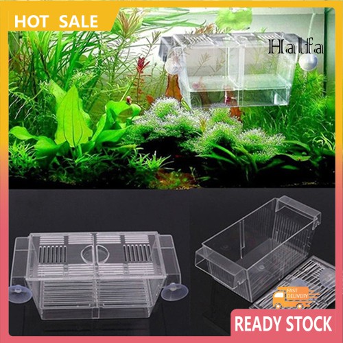 Hộp Hai Ngăn Bẫy Bắt Côn Trùng Cho Bể Cá Cảnh